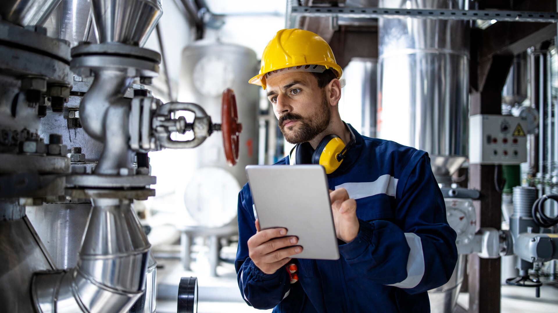 shutterstock_2201169667