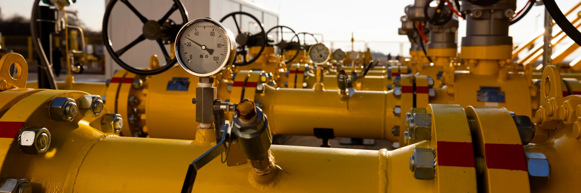 /uploads/media/hero_small_desktop_slide/02/5992-shutterstock_2440369805.webp?v=1-0